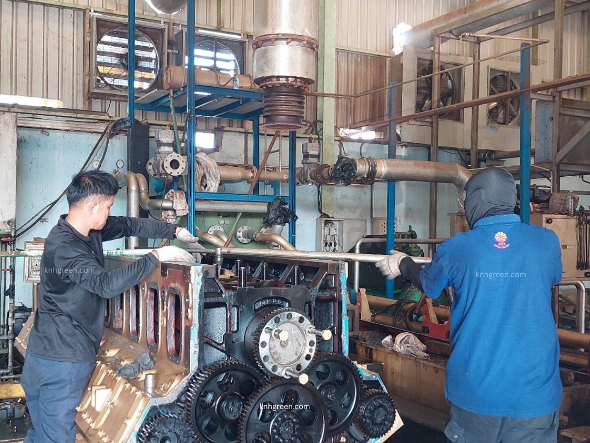 Biogas Power Generation Project (5)