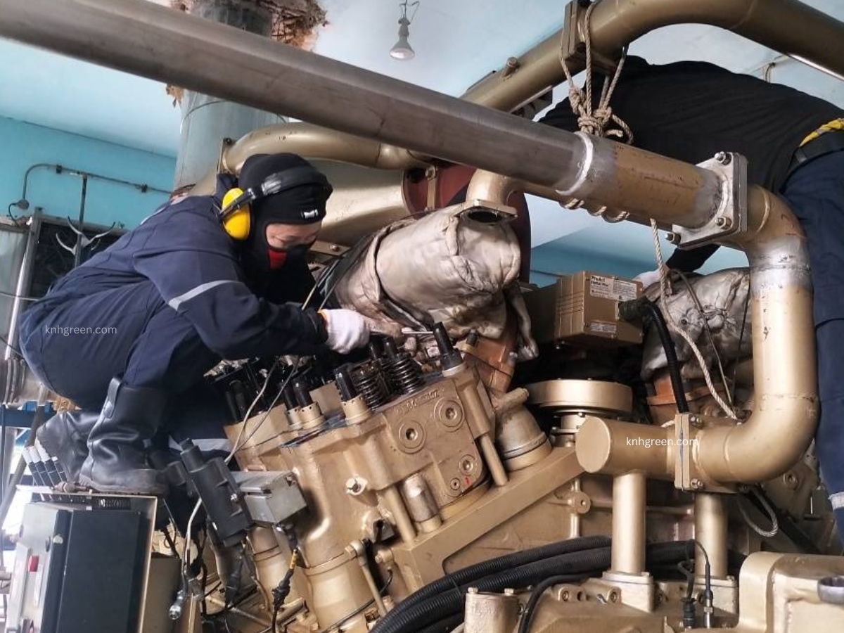 Biogas Power Generation Project (3)