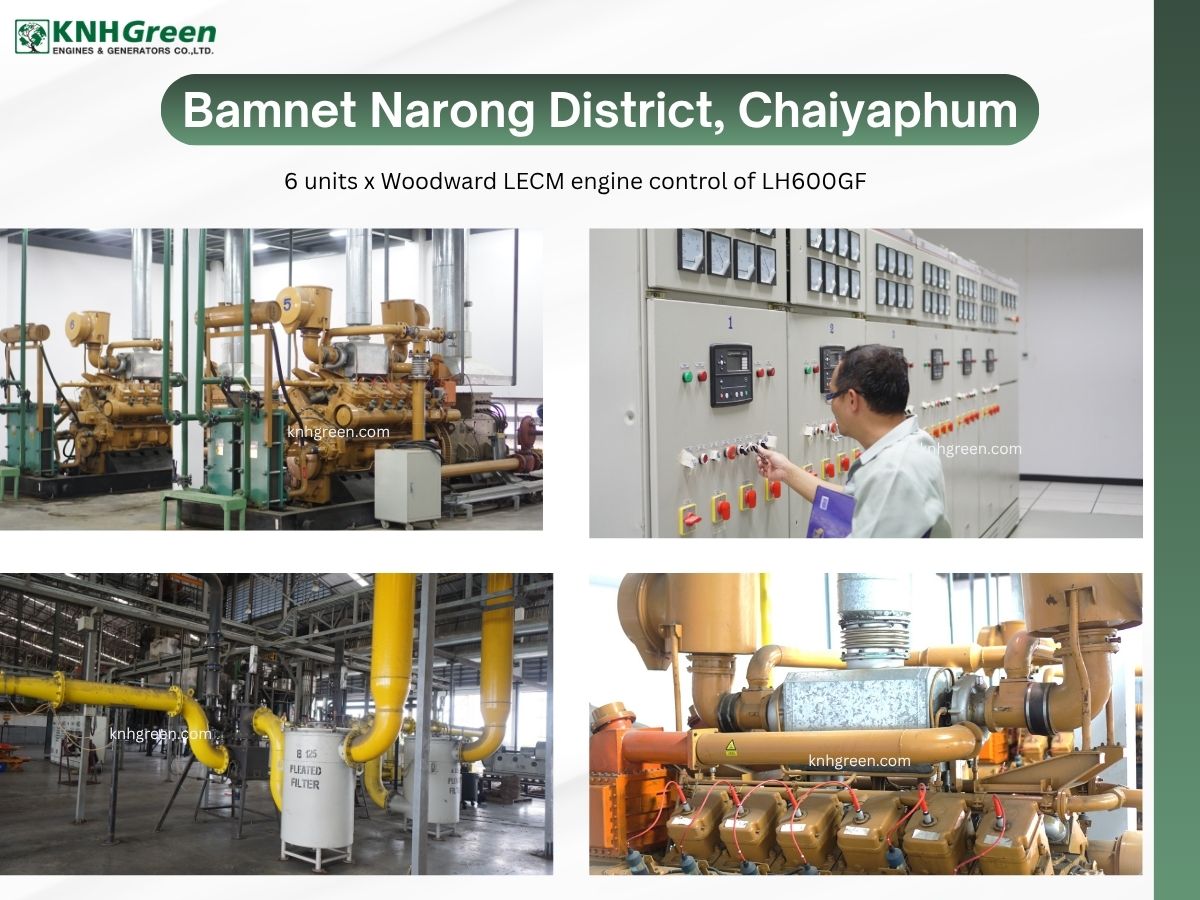 Biogas Power Generation Project (2)