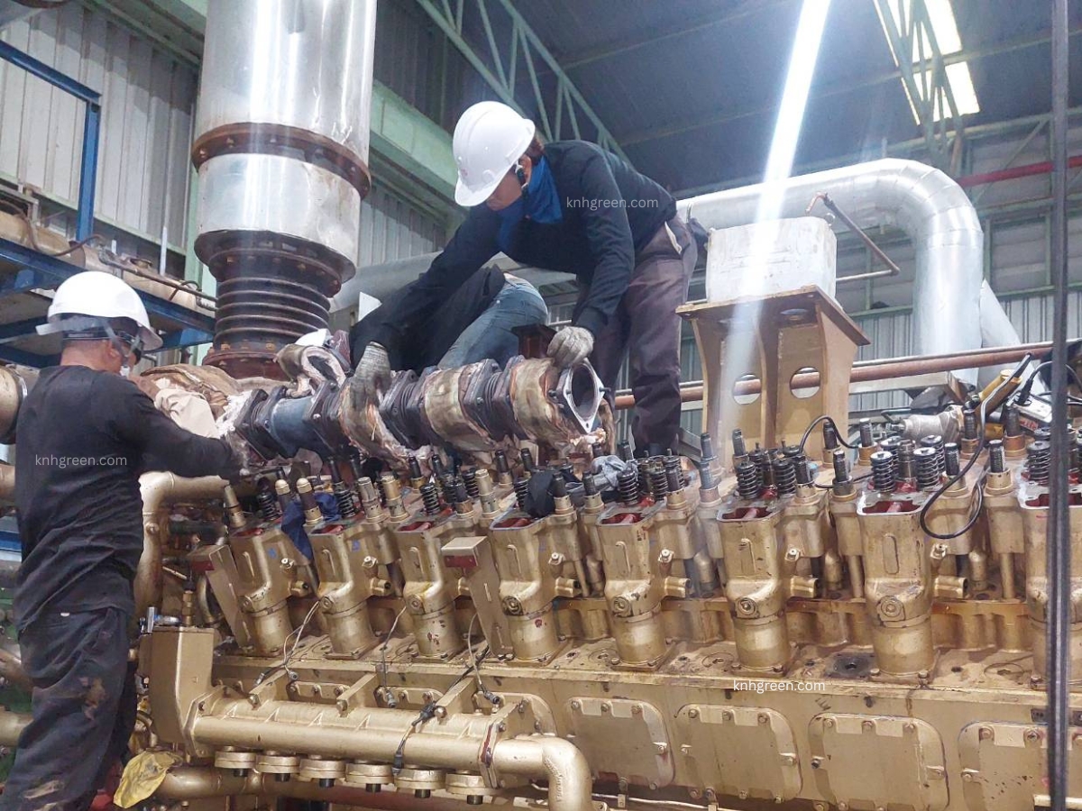 Biogas Power Generation Project (4)